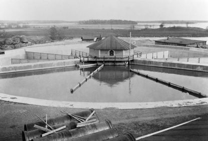 Click to view a larger image