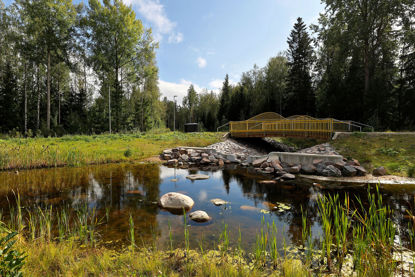 Click to view a larger image