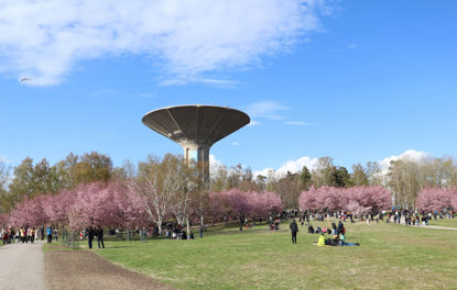 Click to view a larger image