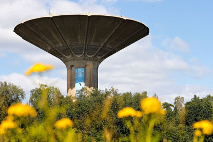 Click to view a larger image