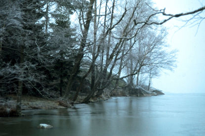 Click to view a larger image