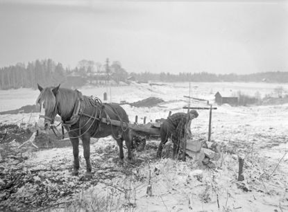 Click to view a larger image